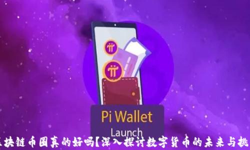 
区块链币圈真的好吗？深入探讨数字货币的未来与挑战