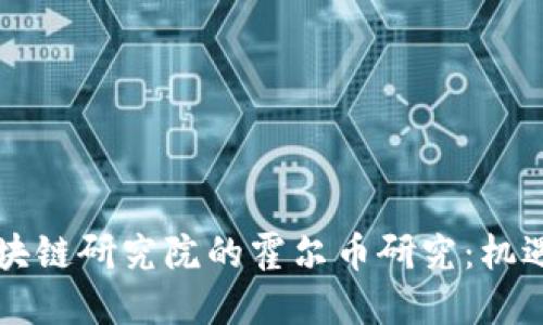 中金区块链研究院的霍尔币研究：机遇与挑战