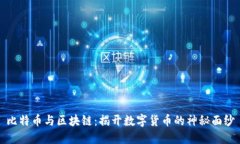 比特币与区块链：揭开数字货币的神秘面纱