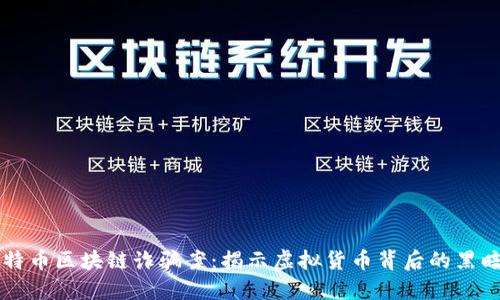 比特币区块链诈骗案：揭示虚拟货币背后的黑暗面