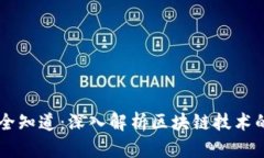 币圈全知道：深入解析区