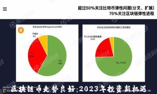 
区块链币走势良好：2023年投资新机遇