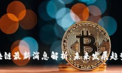 : 吴思进区块链最新消息解析：未来发展趋势与行