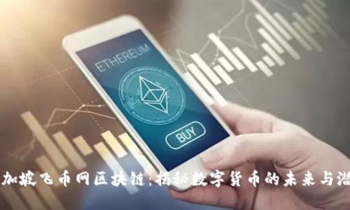 新加坡飞币网区块链：揭秘数字货币的未来与潜力