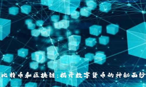 比特币和区块链：揭开数字货币的神秘面纱