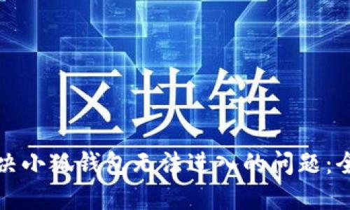 如何解决小狐钱包无法进入的问题：全面指南