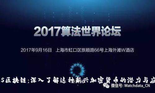 FLS区块链：深入了解这种新兴加密货币的潜力与应用