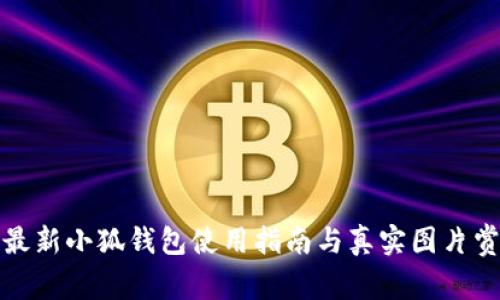 : 最新小狐钱包使用指南与真实图片赏析