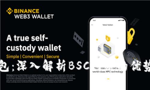 小狐钱包：深入解析BSC网络的优势与应用