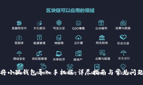 如何将小狐钱包导入手机端：详尽指南与常见问题解答