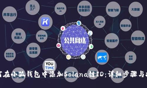 如何在小狐钱包中添加Solana链ID：详细步骤与技巧