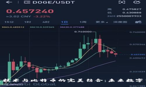 探索区块链技术与比特币的完美结合：未来数字货币的画像