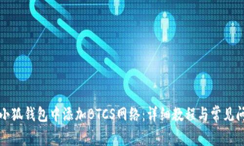如何在小狐钱包中添加BTCS网络：详细教程与常见问题解答