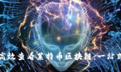 如何高效查看莱特币区块