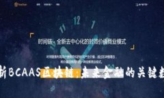 深入解析BCAAS区块链：未来