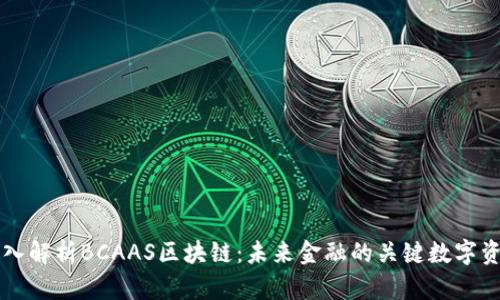 深入解析BCAAS区块链：未来金融的关键数字资产