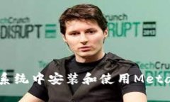 如何在Ubuntu系统中安装和