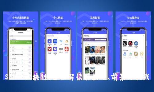 SMAC区块链：全面解读其应用、前景与挑战