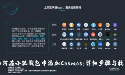 如何在小狐钱包中添加Cosmos：详细步骤与技巧
