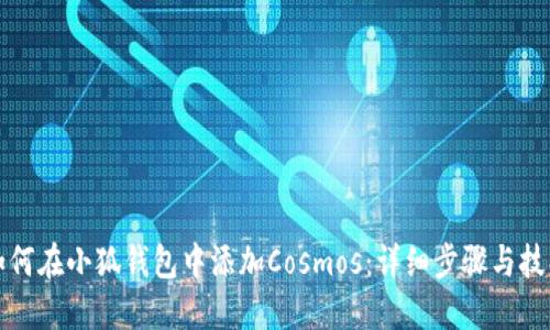 如何在小狐钱包中添加Cosmos：详细步骤与技巧