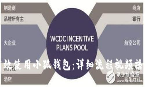 如何高效使用小狐钱包：详细流程视频播放指南