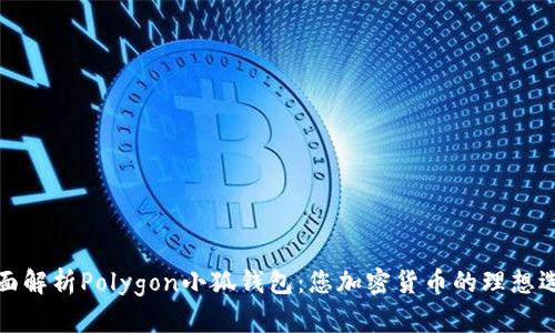全面解析Polygon小狐钱包：您加密货币的理想选择