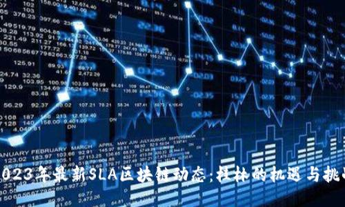 2023年最新SLA区块链动态：桂林的机遇与挑战