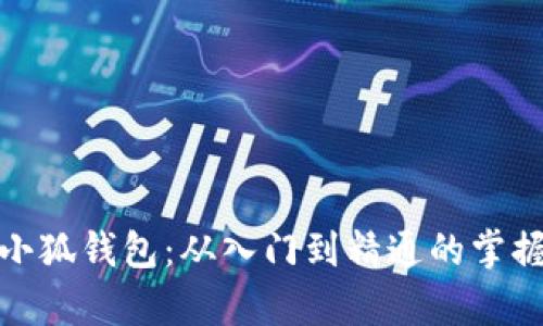 全面解析小狐钱包：从入门到精通的掌握教程视频