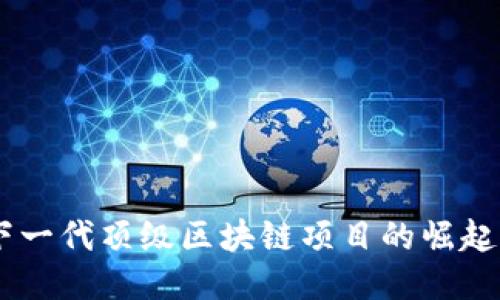 Pi币：下一代顶级区块链项目的崛起与挑战