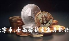 区块链数字币：全面解析