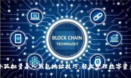 小狐批量导入钱包地址技巧，轻松管理数字资产