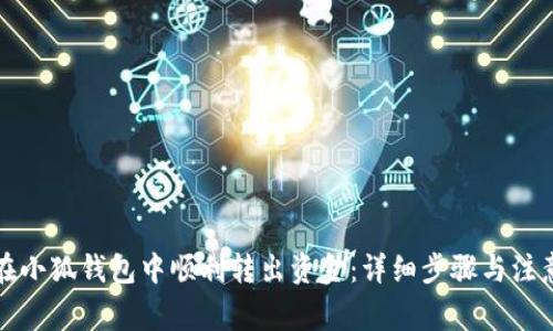 如何在小狐钱包中顺利转出资金：详细步骤与注意事项