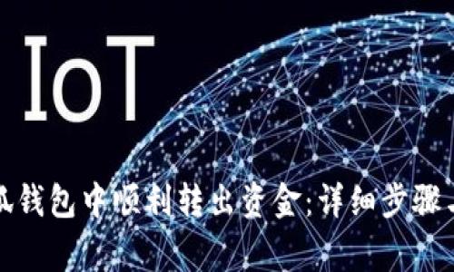 如何在小狐钱包中顺利转出资金：详细步骤与注意事项