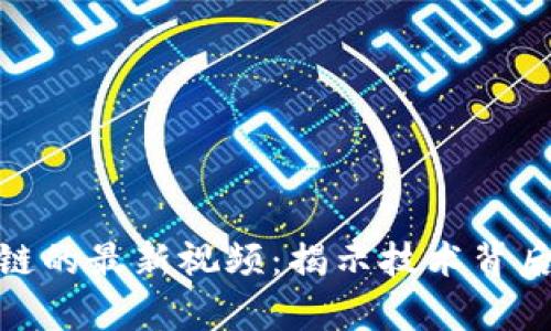 探索乐鸥区块链的最新视频：揭示技术背后的财富与机遇