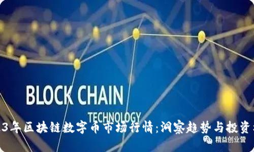 2023年区块链数字币市场行情：洞察趋势与投资机会