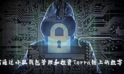 如何通过小狐钱包管理和投资Terra链上的数字资产