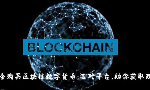 如何安全购买区块链数字货币：选对平台，助你获取理想收益