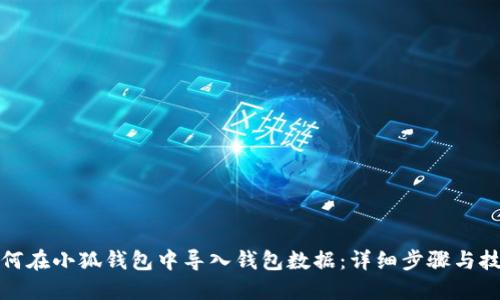 如何在小狐钱包中导入钱包数据：详细步骤与技巧