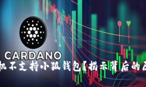 为什么小米手机不支持小狐钱包？揭示背后的原因与解决方案