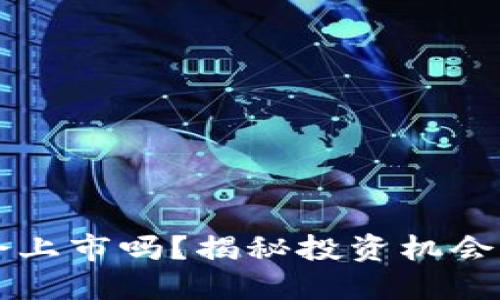 区块链币会上市吗？揭秘投资机会与市场动向