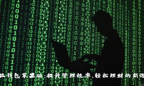 小狐钱包苹果版：提升管理效率，轻松理财的新选择
