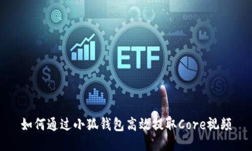如何通过小狐钱包高效提取Core视频