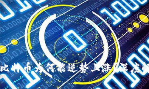 区块链下跌时比特币为何能逆势上涨？深度解析与市场动向