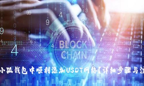 如何在小狐钱包中顺利添加USDT网络？详细步骤与注意事项