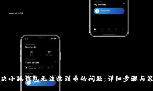 解决小狐钱包无法收到币的问题：详细步骤与策略