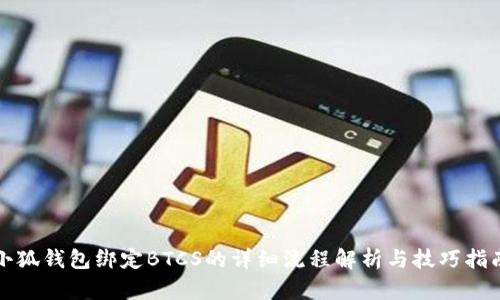 小狐钱包绑定BTCS的详细流程解析与技巧指南
