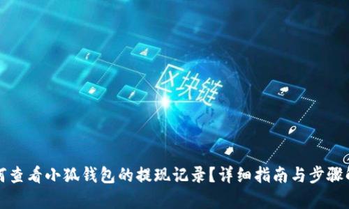 如何查看小狐钱包的提现记录？详细指南与步骤解析