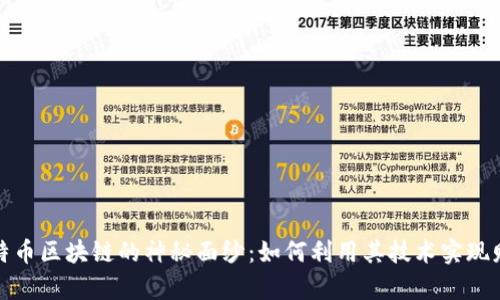 揭开比特币区块链的神秘面纱：如何利用其技术实现财富增长