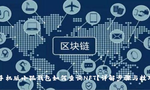 手机版小狐钱包如何查询NFT？详解步骤与技巧
