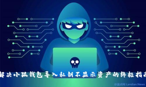 解决小狐钱包导入私钥不显示资产的终极指南